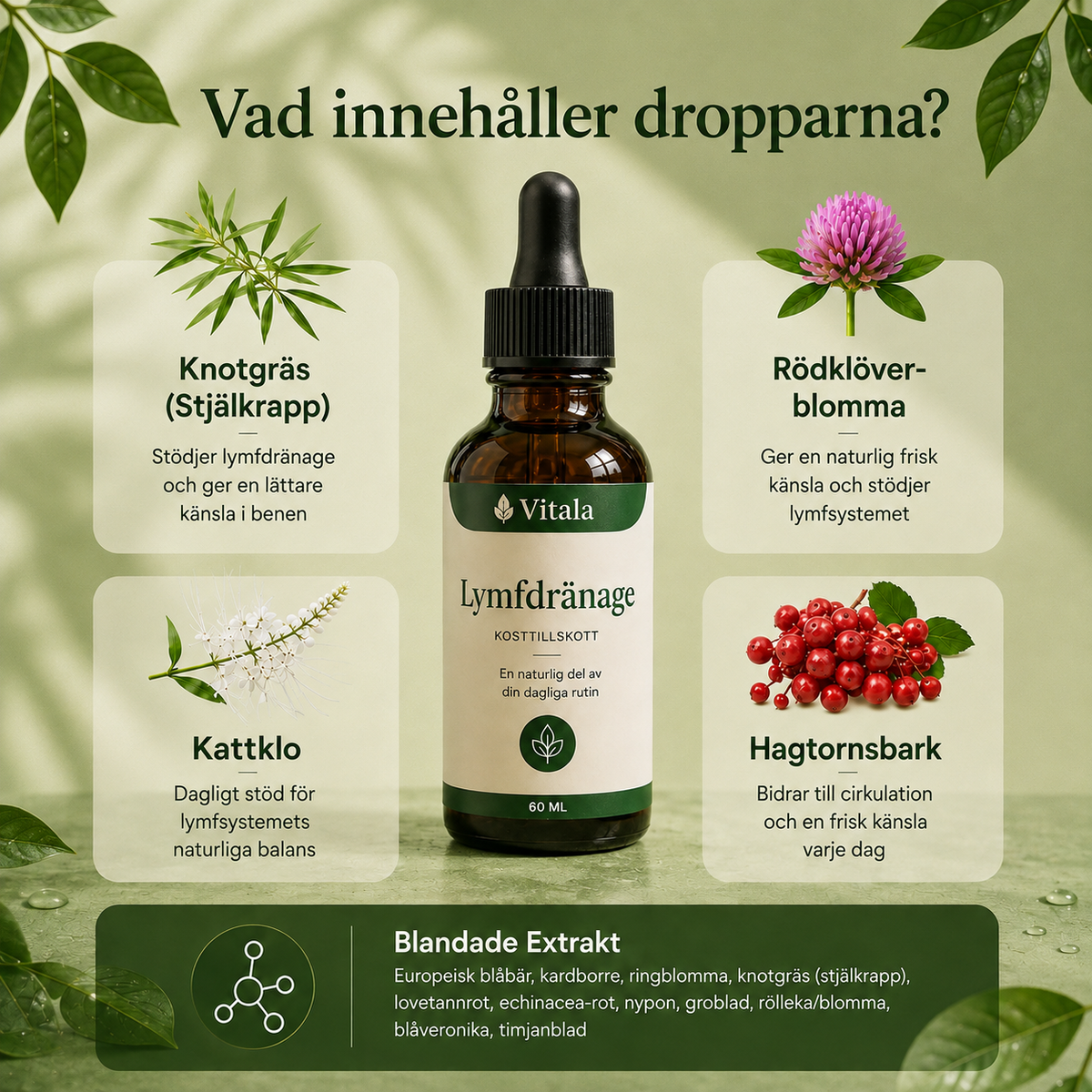 Vitala - Lymfdränage Droppar
