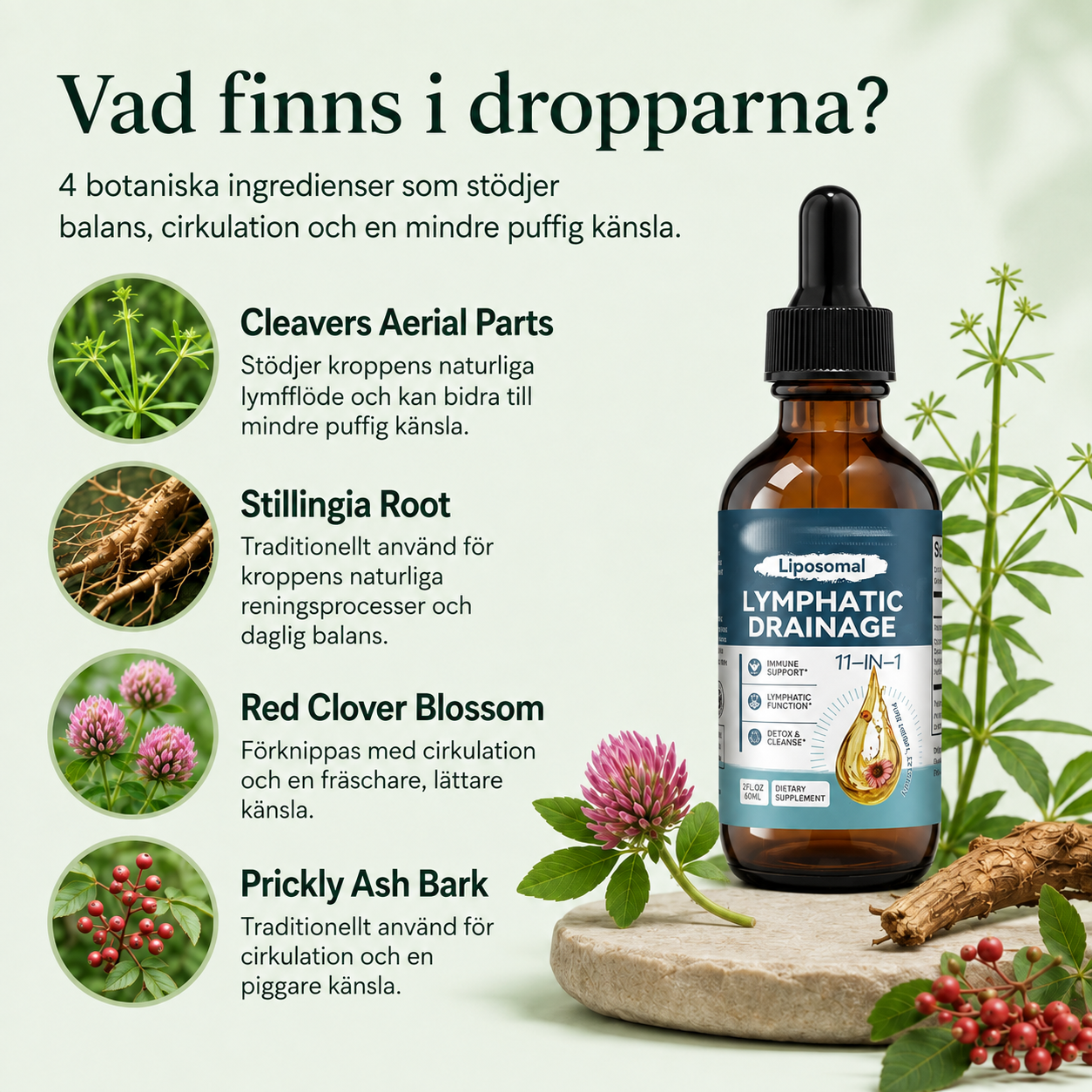 Vitala - Lymfdränage Droppar